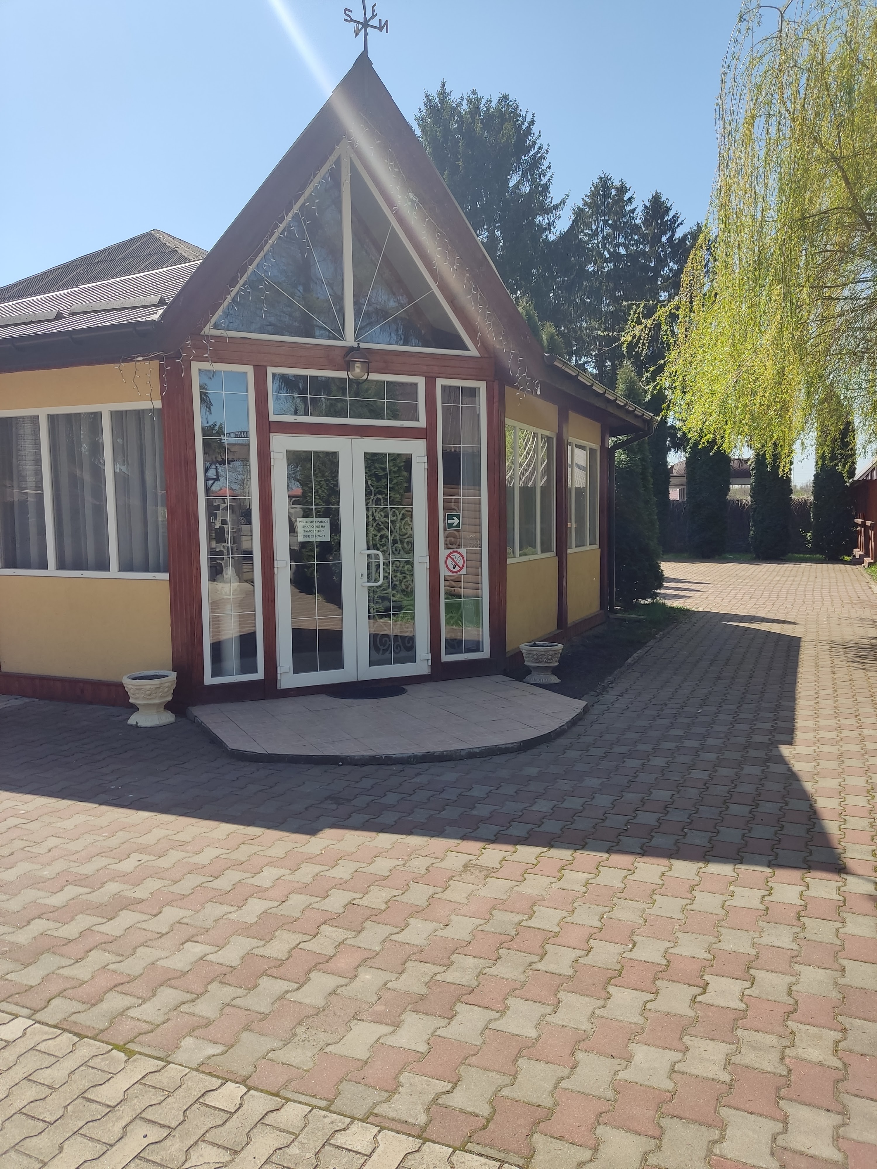 Golden pheasant image 3