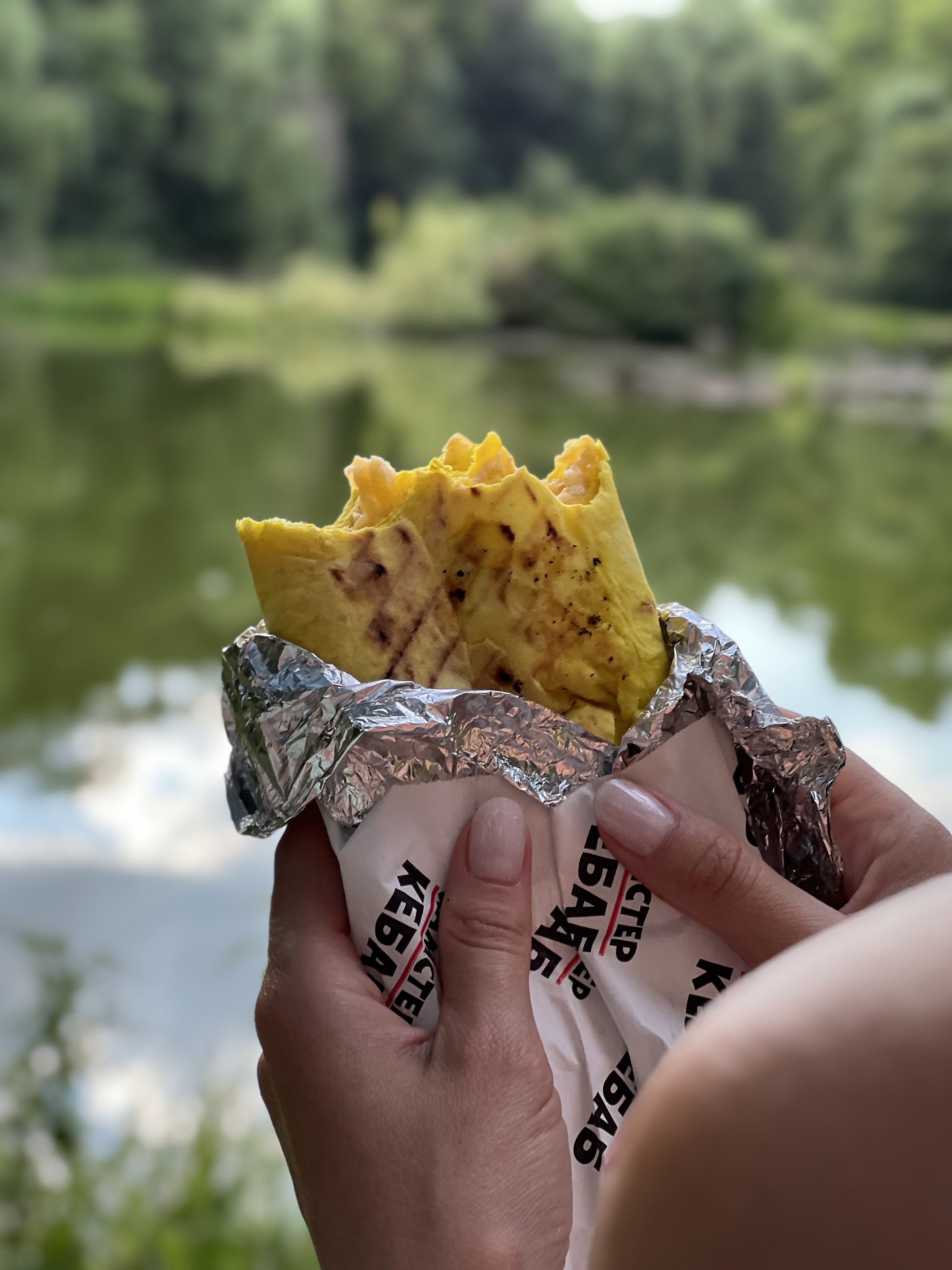 Hamster kebab image 2