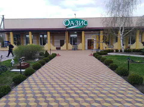 Oazys image 3