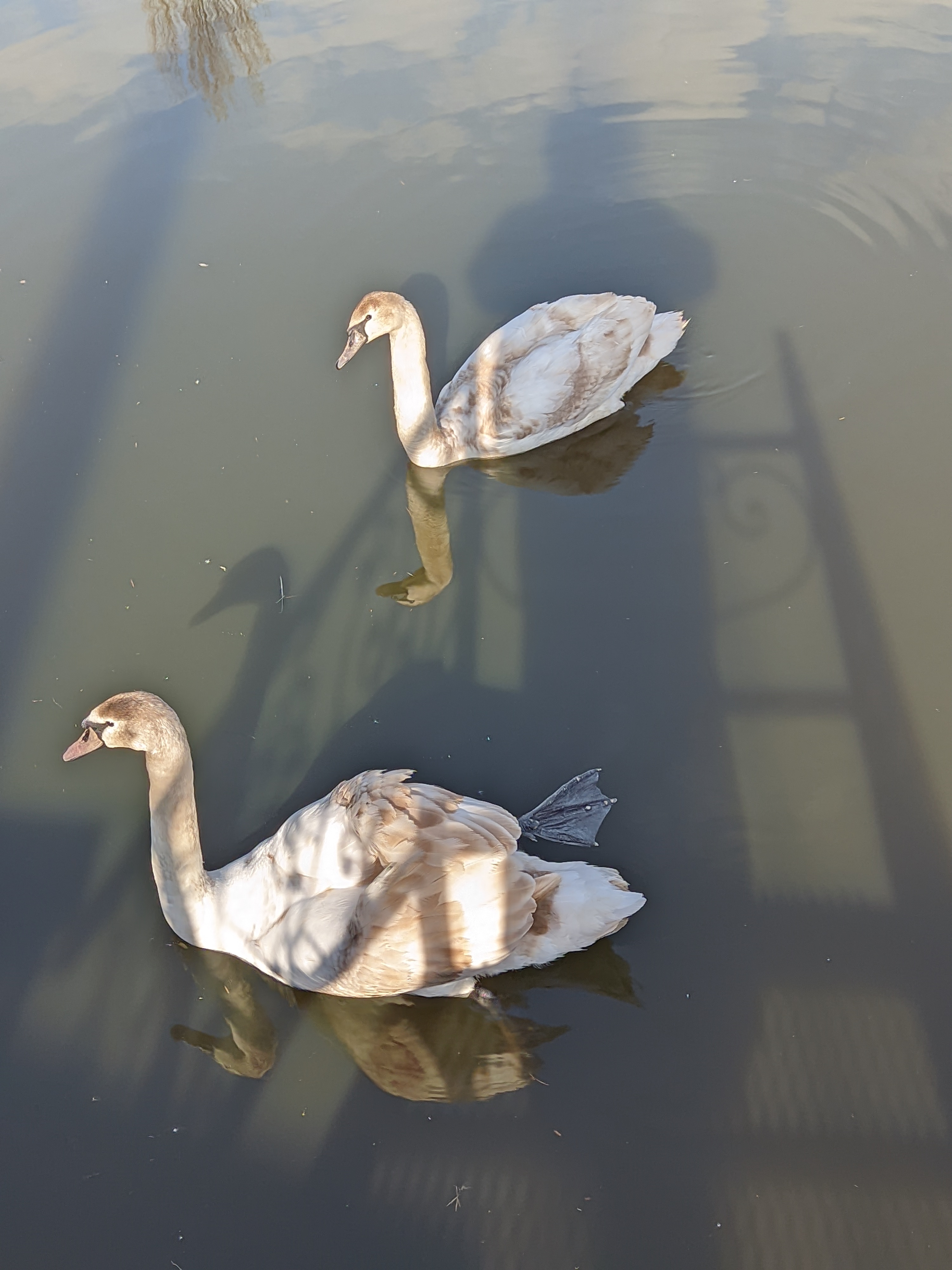 Restoran Khutorok Berdychiv image 7