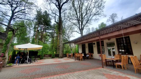 Дубки image 5