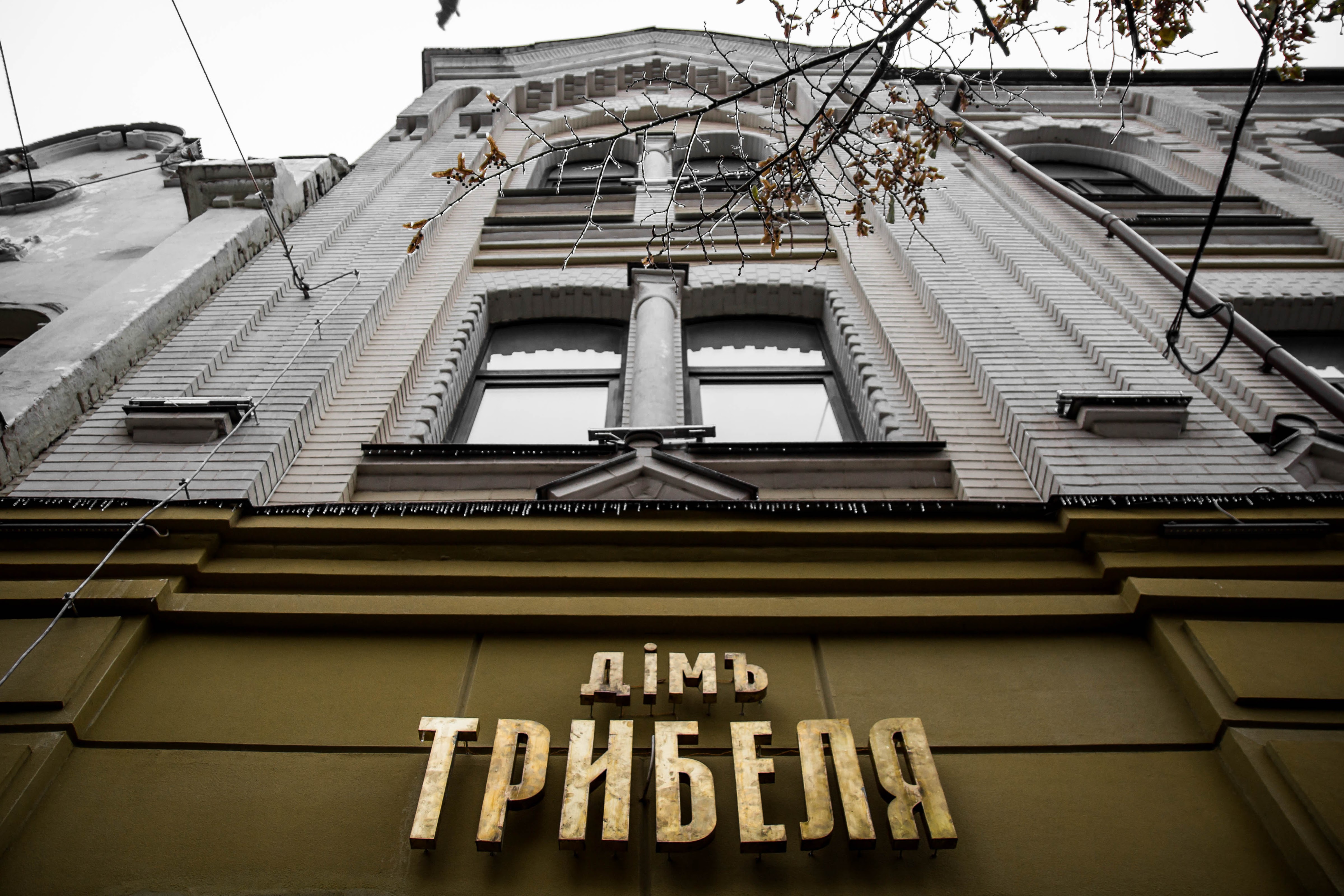 House of Triebel image 4