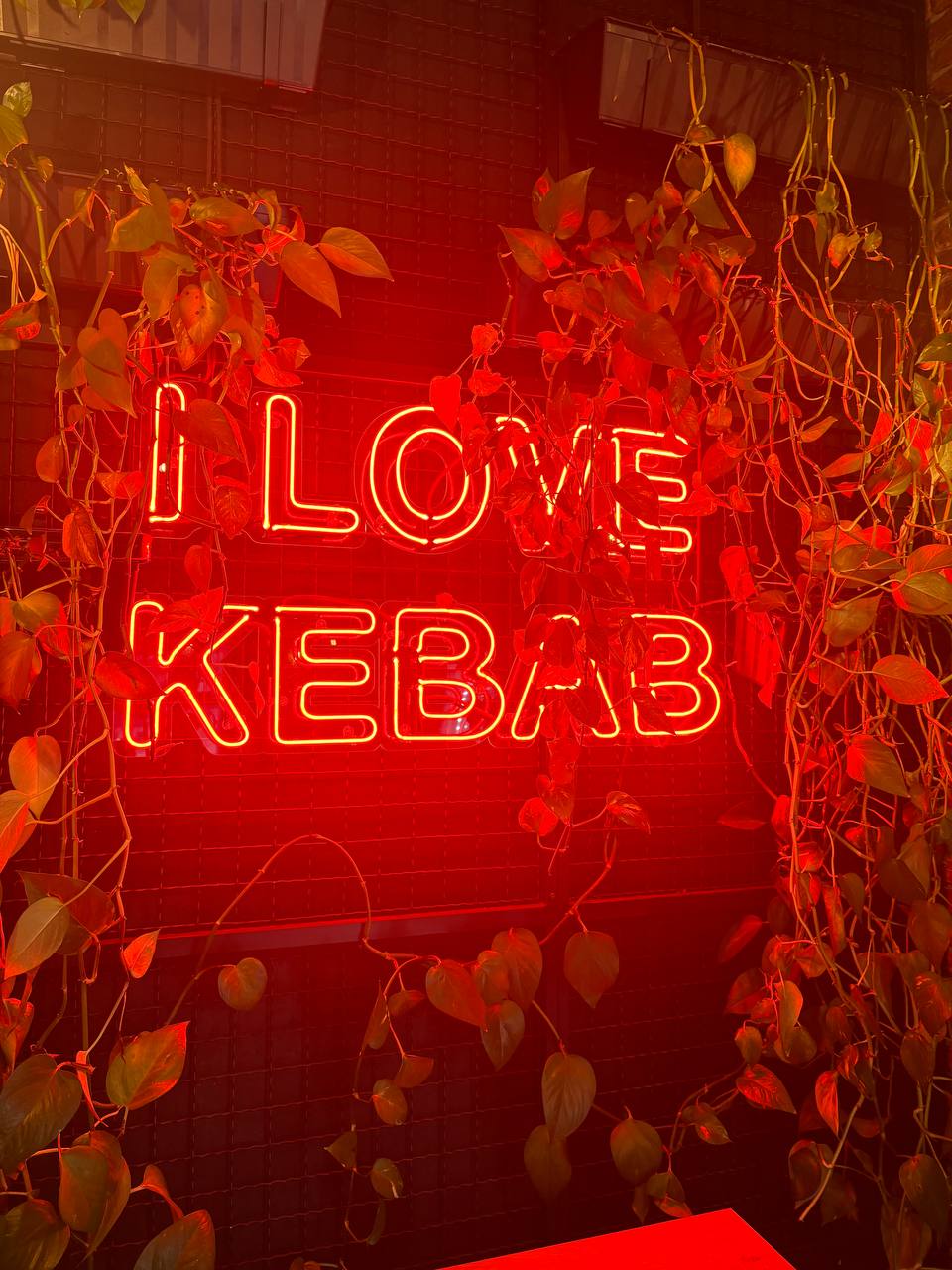 I Love Kebab/Я Люблю Кебаб image 1