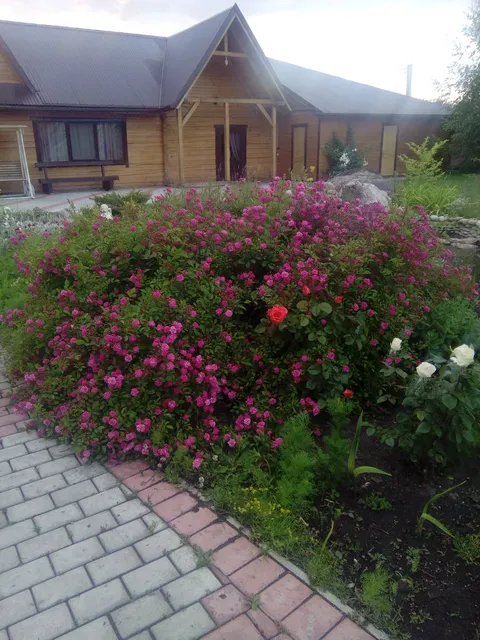 Kolyba image 6