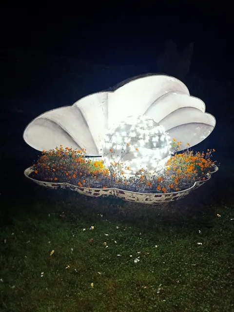 White pearl image 5
