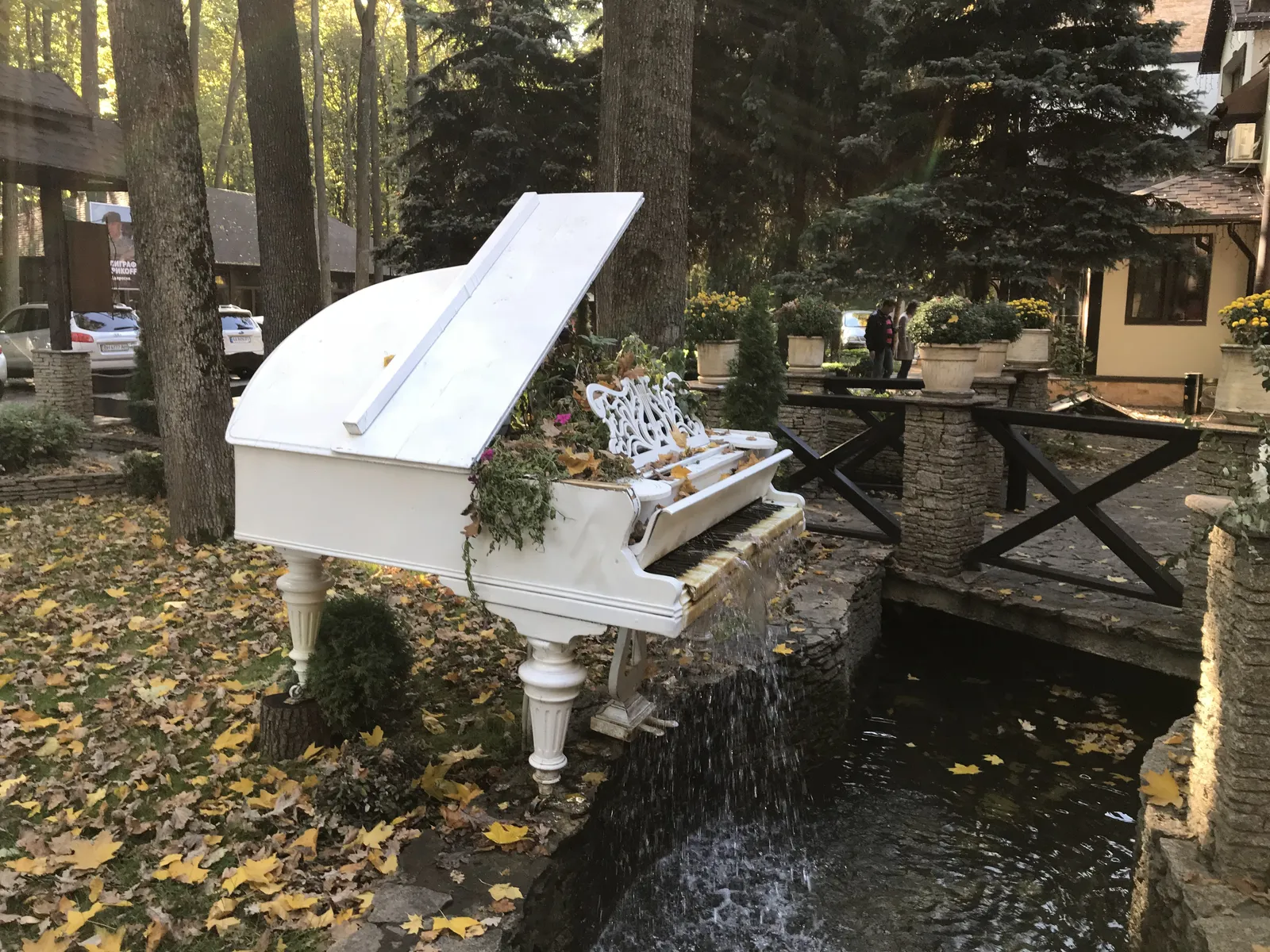 Zajka Grill image 10