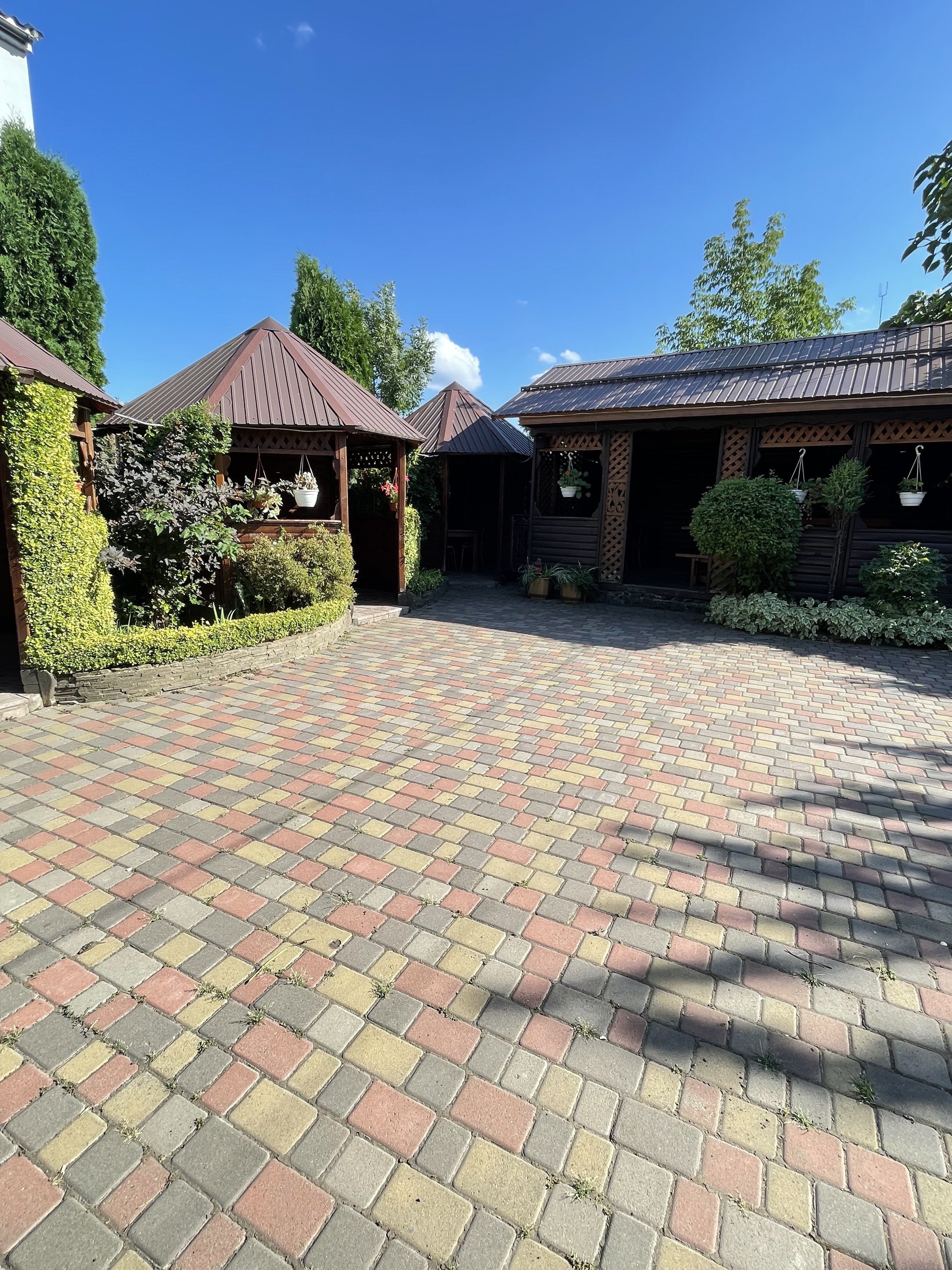 Ольвія image 3