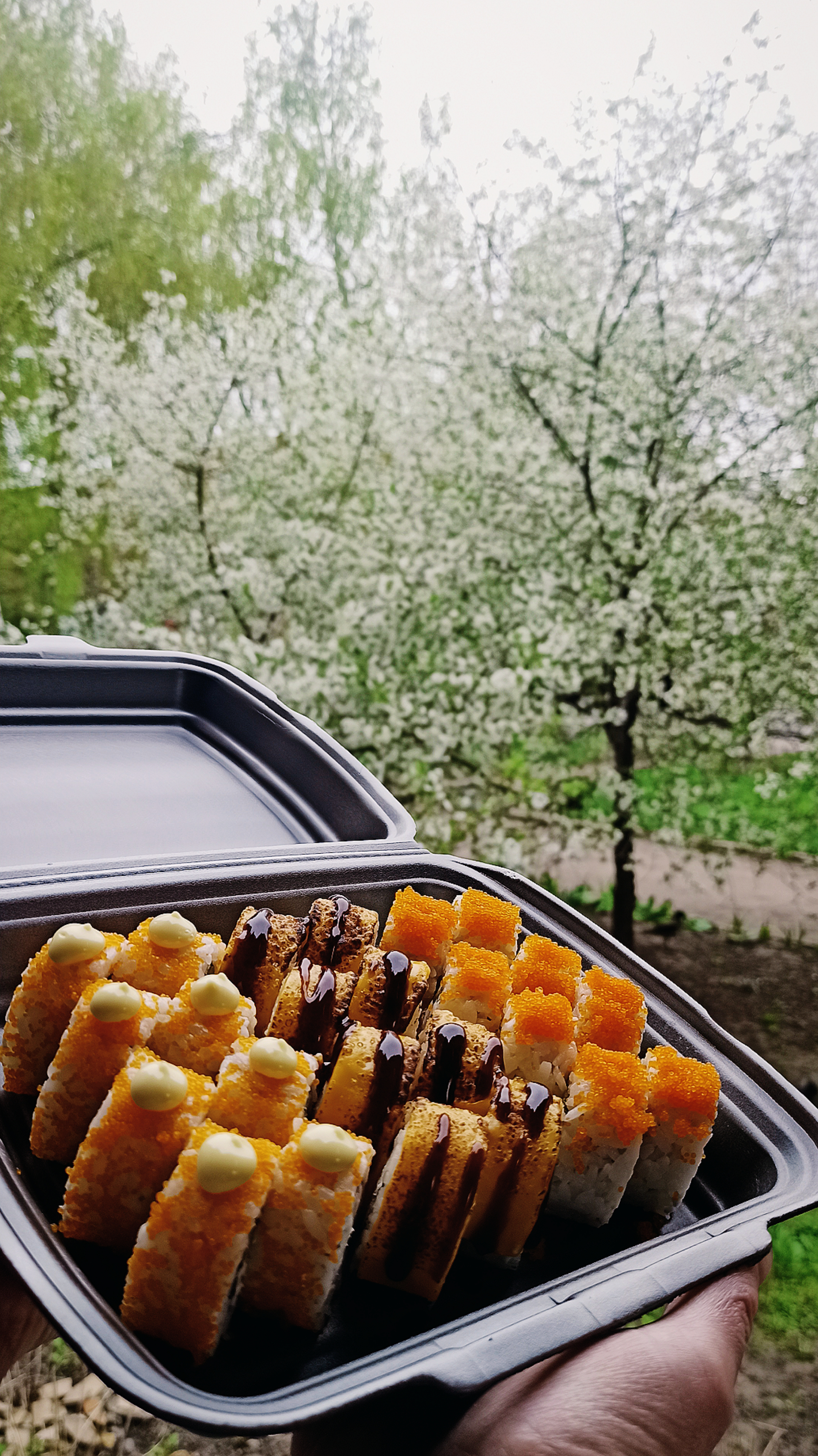 FUKURO SUSHI ЗВЕНИГОРОДКА image 9