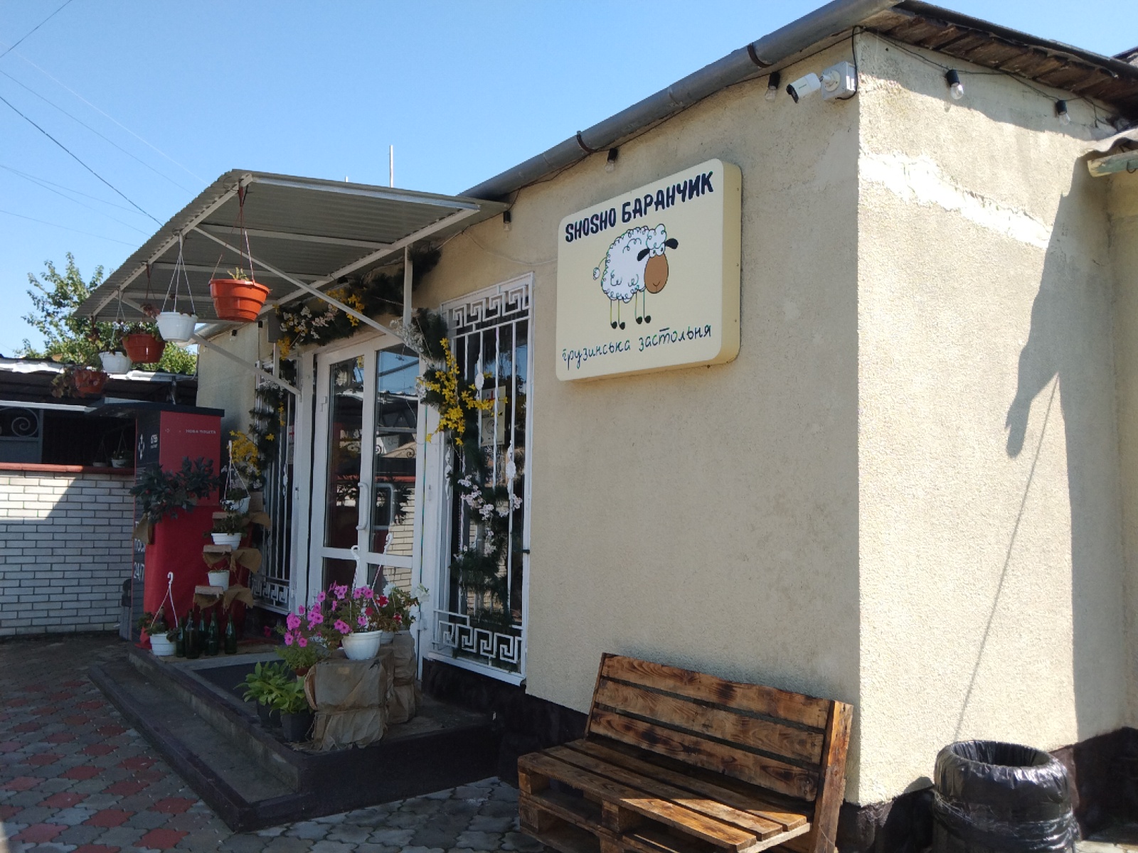 SHOSHO БАРАНЧИК image 1