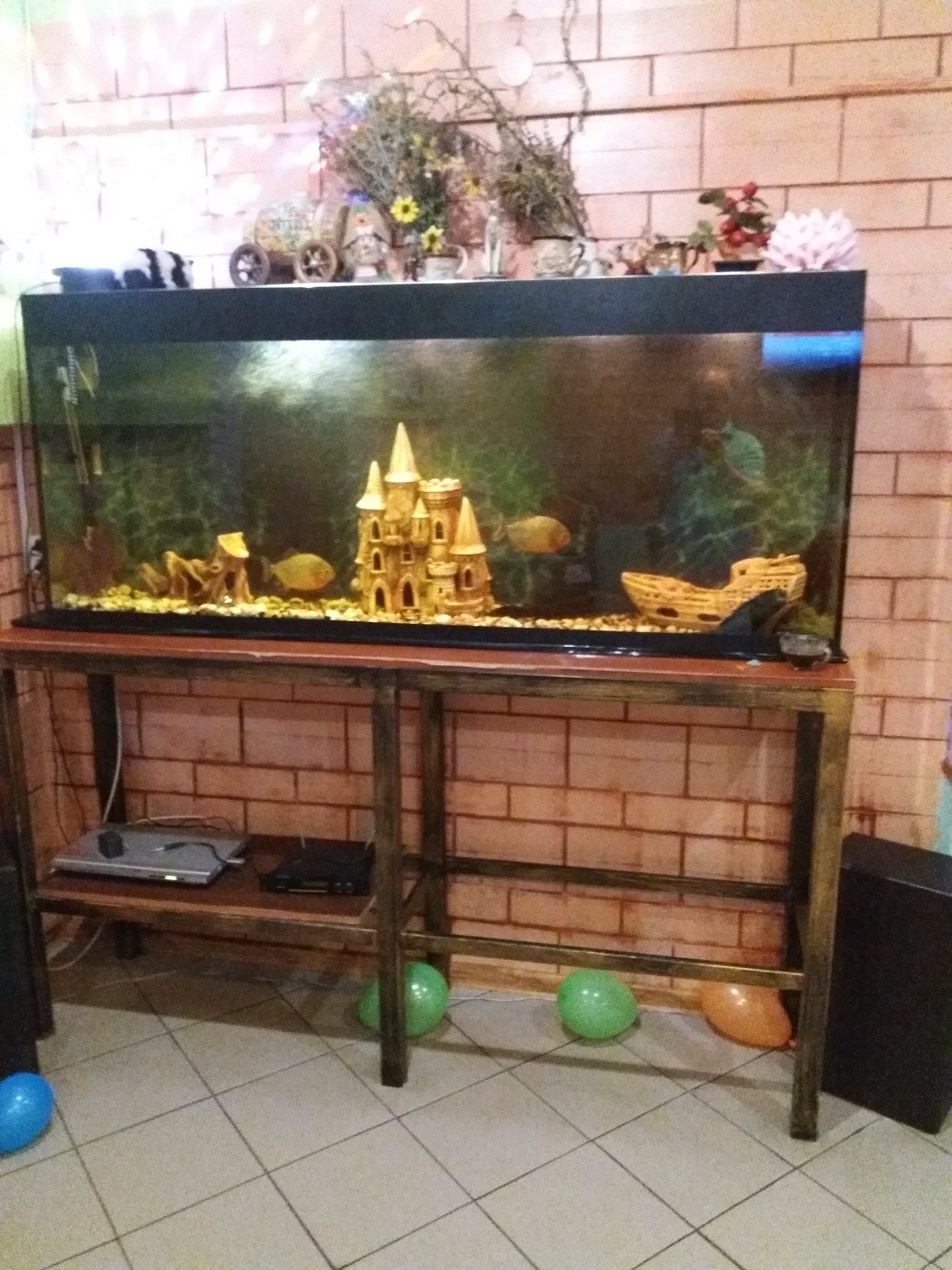 Myronivchanka image 7