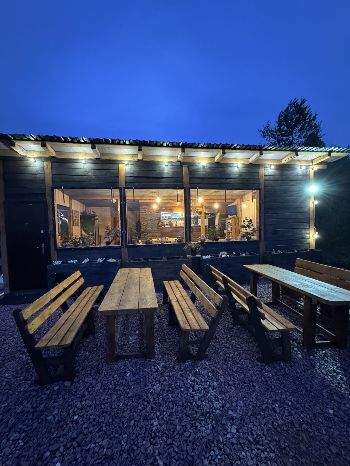 Колиба на болоті image 4