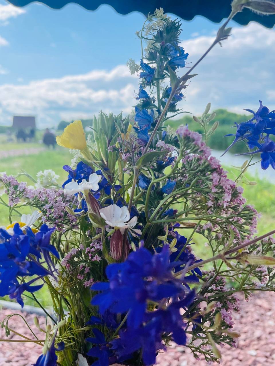 Колиба на болоті image 10