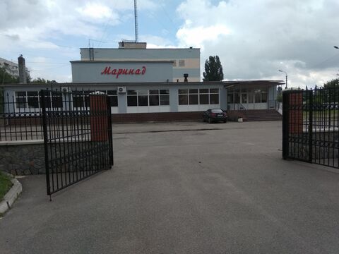 Marynad image 4