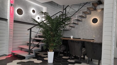 ZIG ZAG image 1