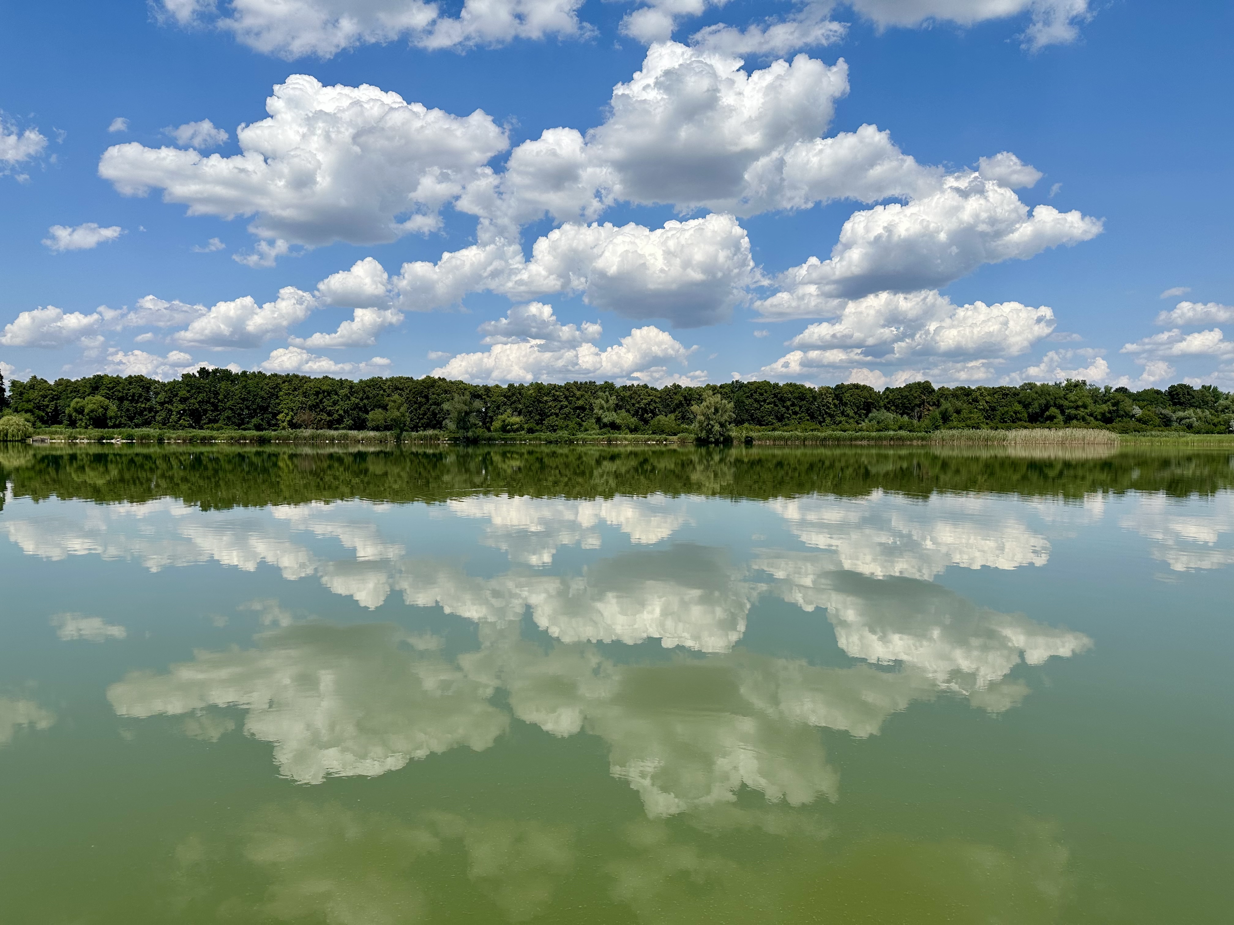 Fishing farm image 9