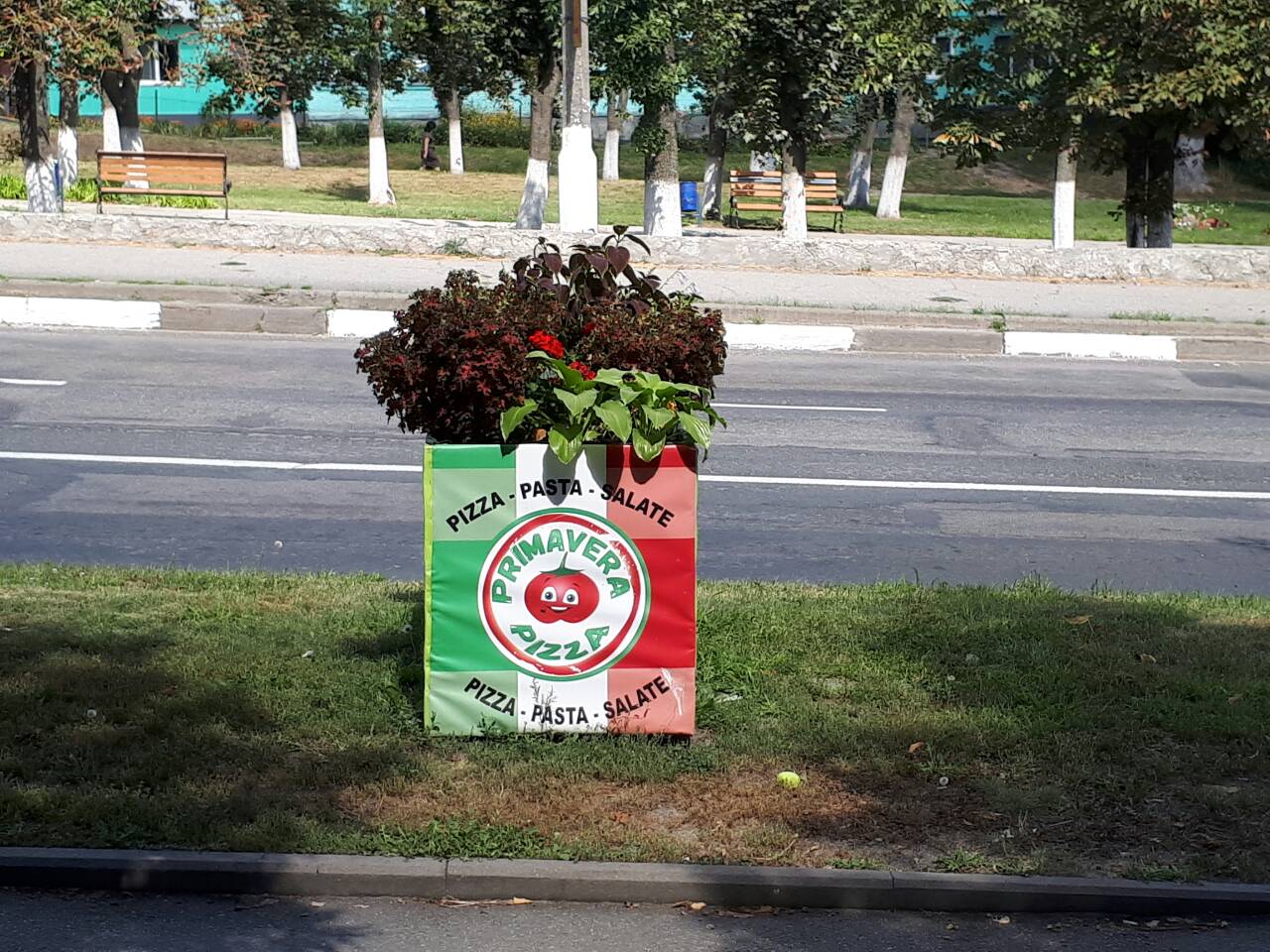 Піцерія Primavera image 7