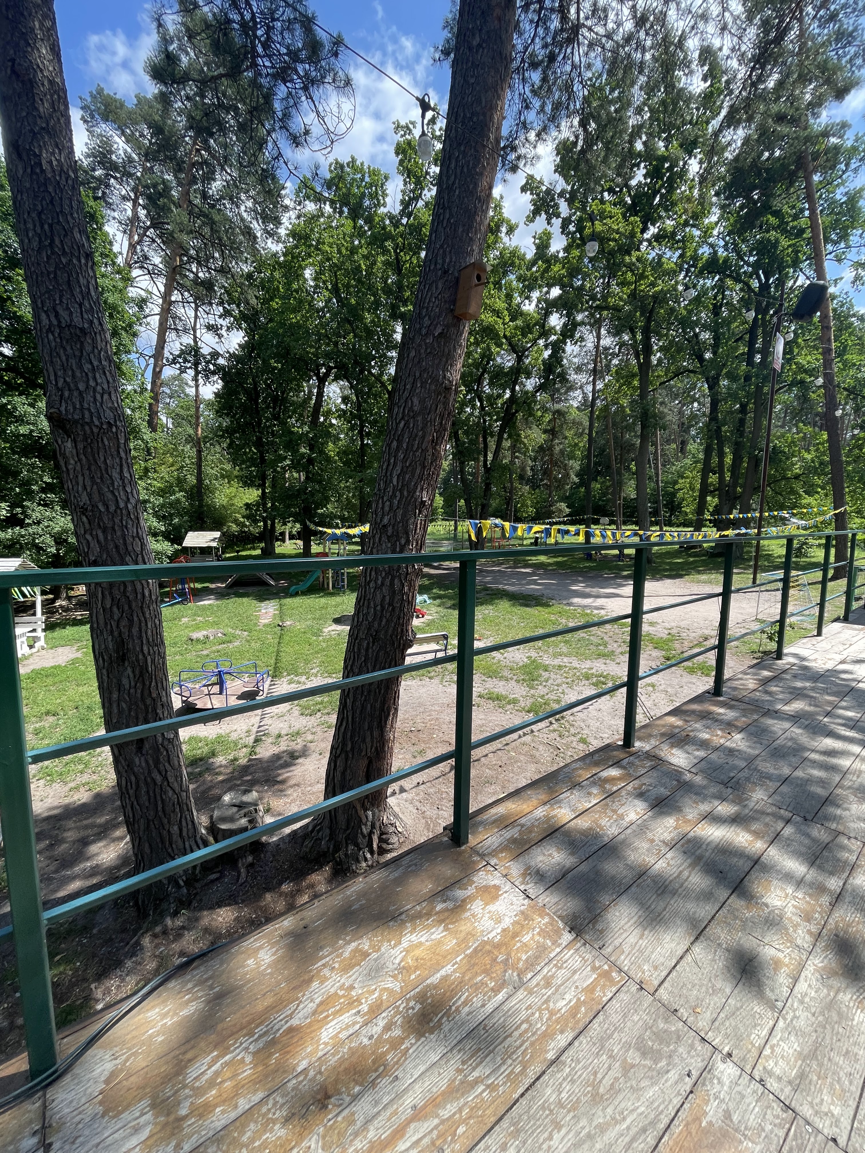 КофіЯ кавʼярня в лісі image 3