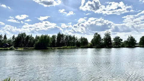 Ресторан "Фенікс" image 8