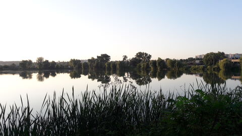 Kolyba image 2