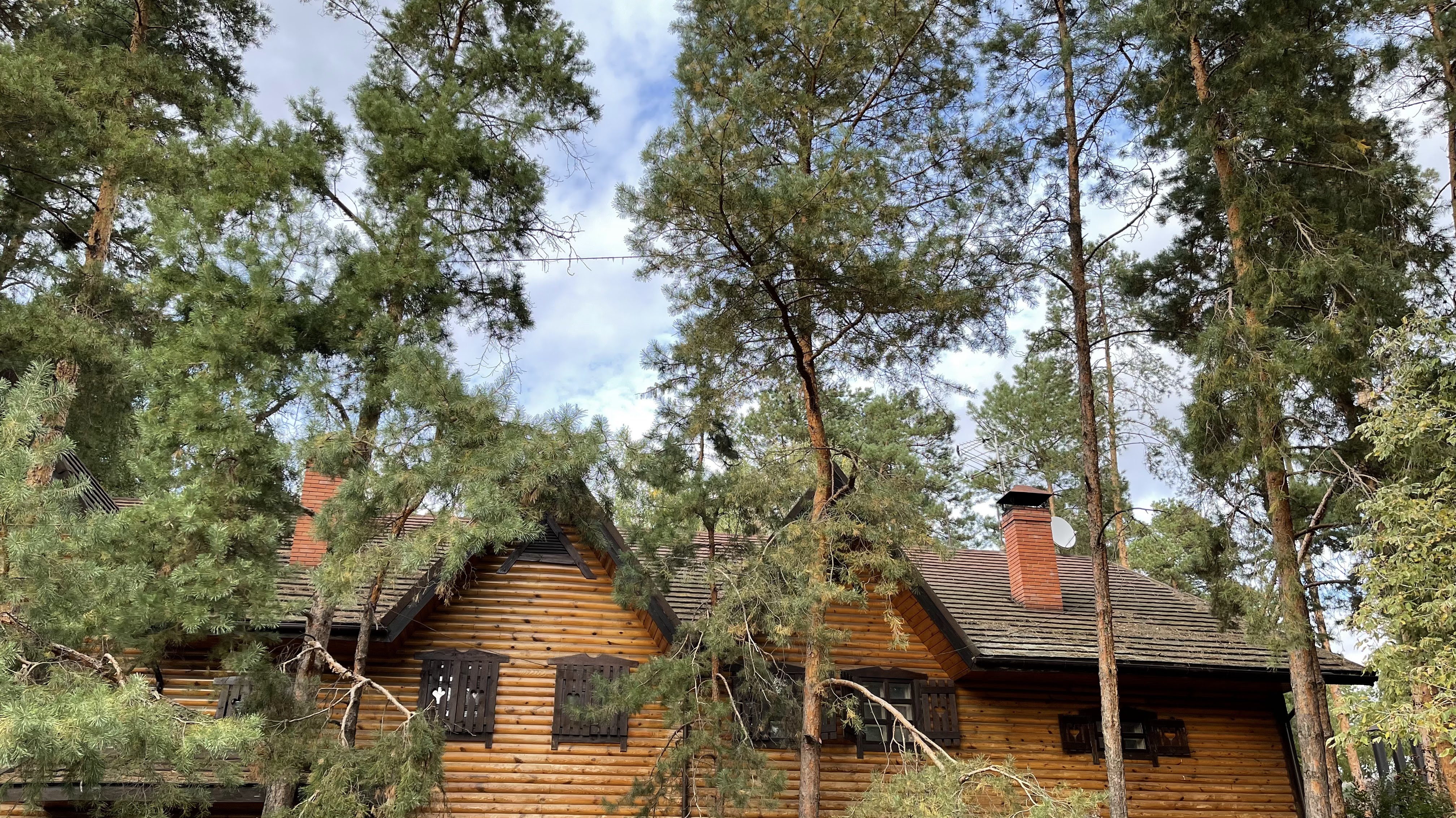 Чумацький шлях image 10