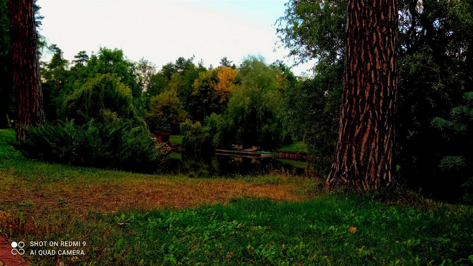 Romankovskaya Usadʹba image 8