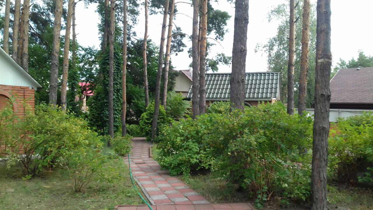 Nushy Dzhan image 10