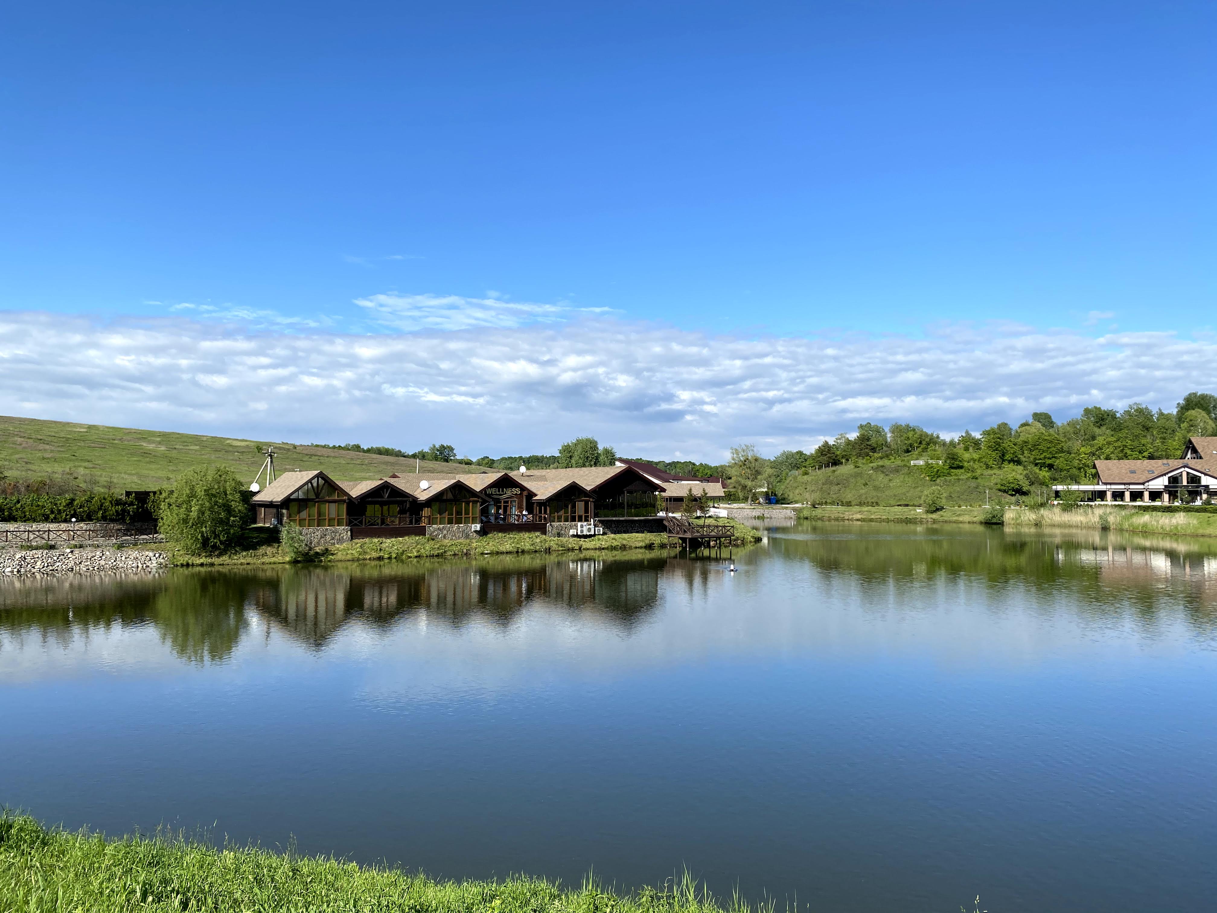 Equides Restaurant image 7