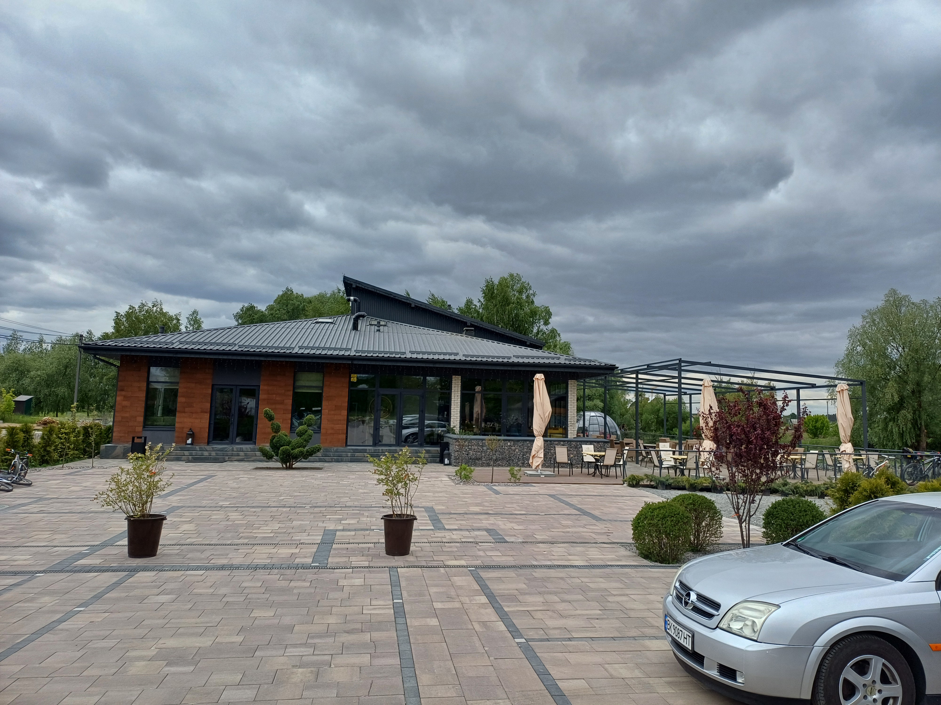 Secret Forest image 8