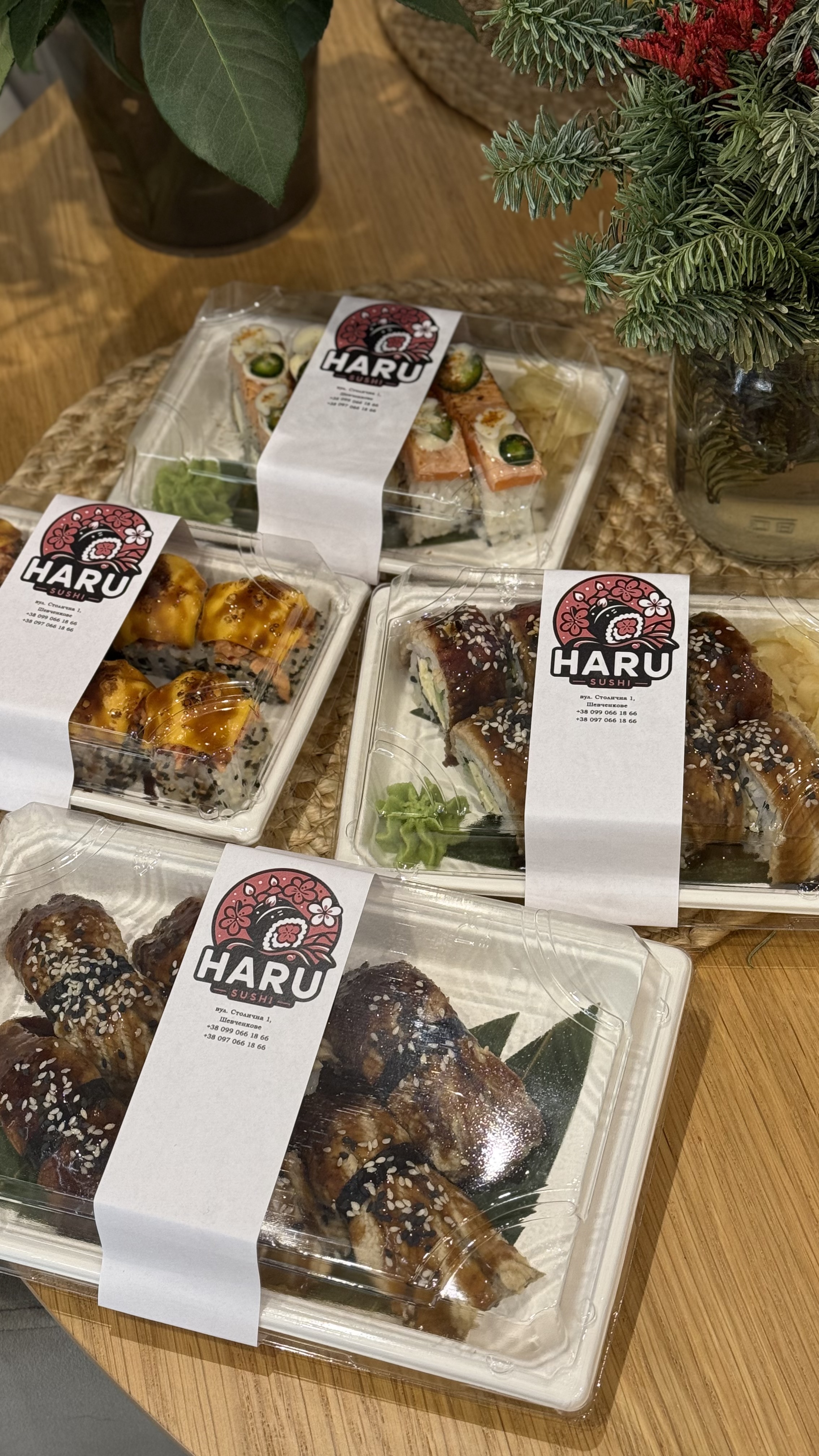 Haru Sushi image 7