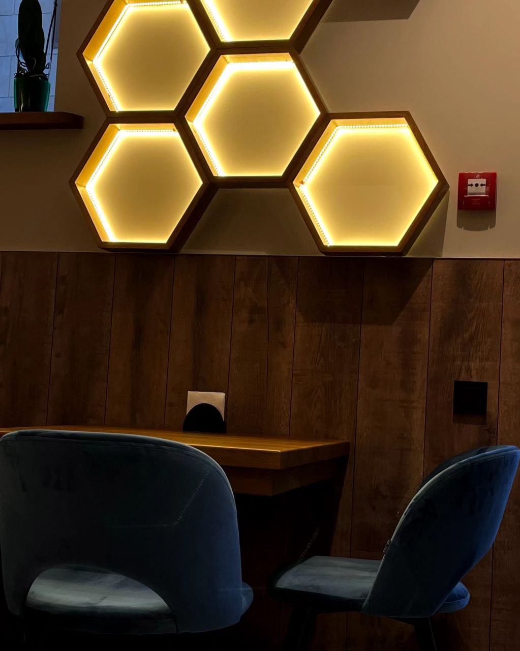 Drunk Monkey (П'яна мавпа) image 4