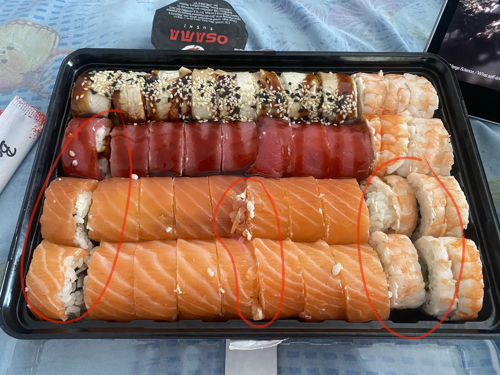 OSAMA sushi Irpin image 5