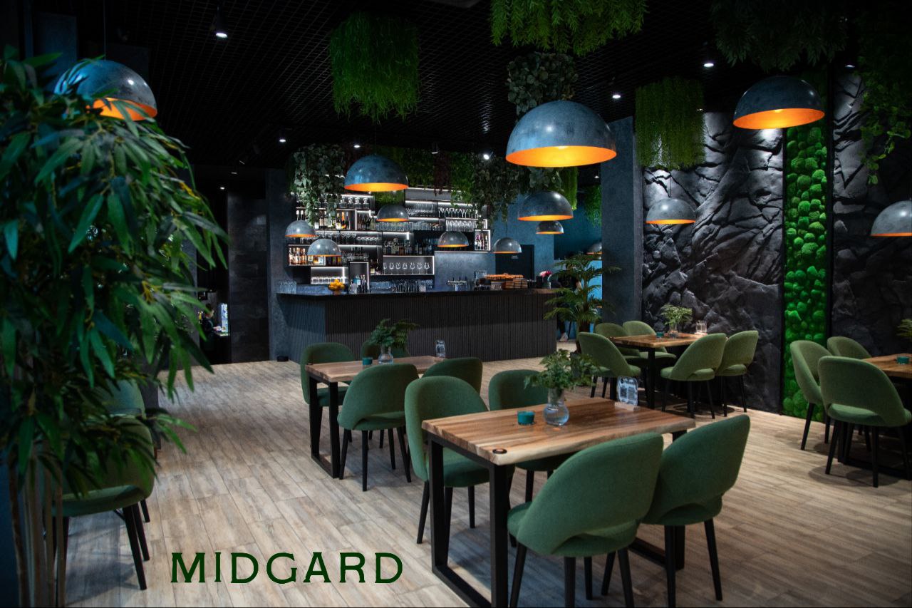 MIDGARD image 1