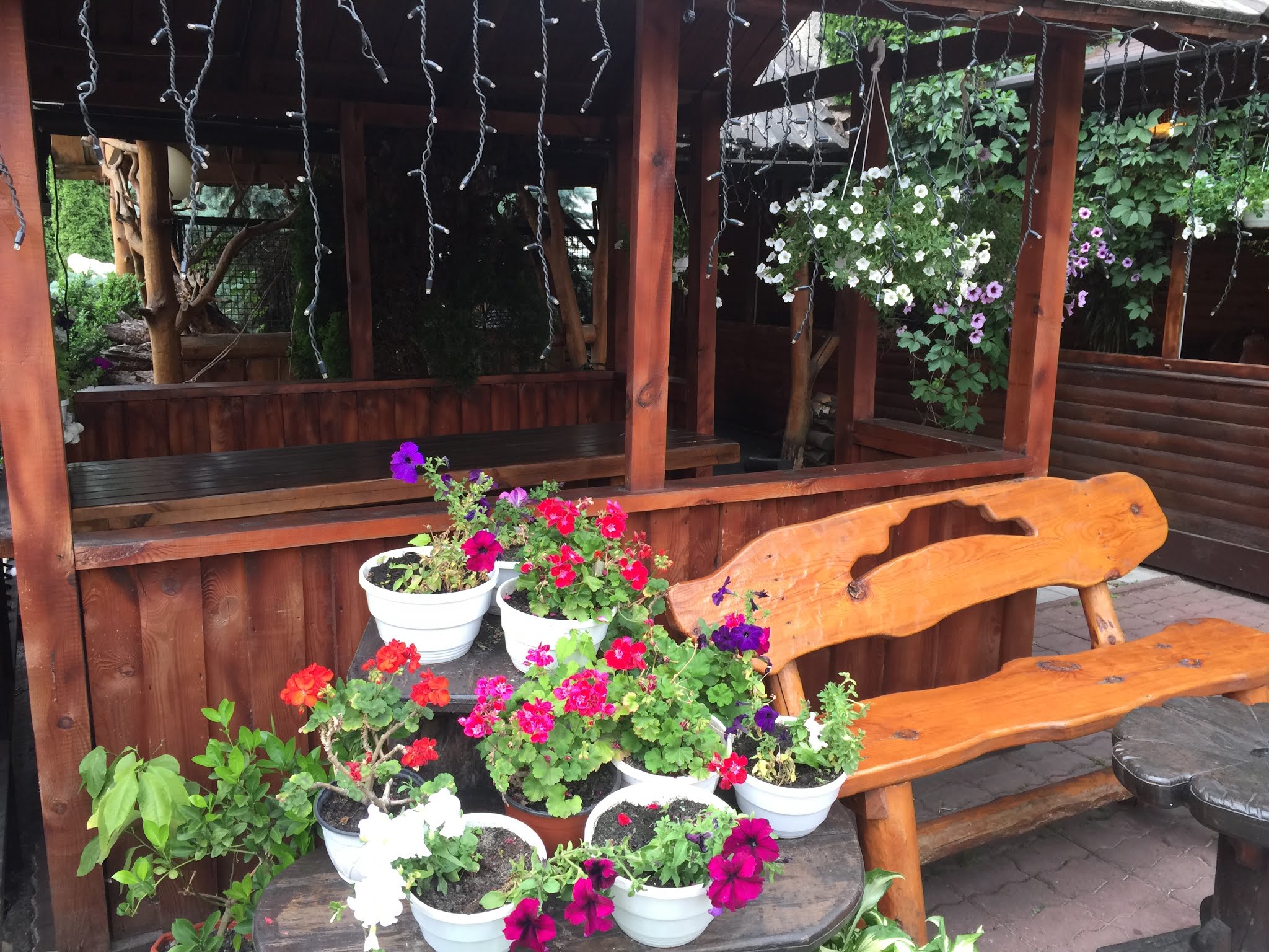 Taverna Zhyttya Vdalosya image 10