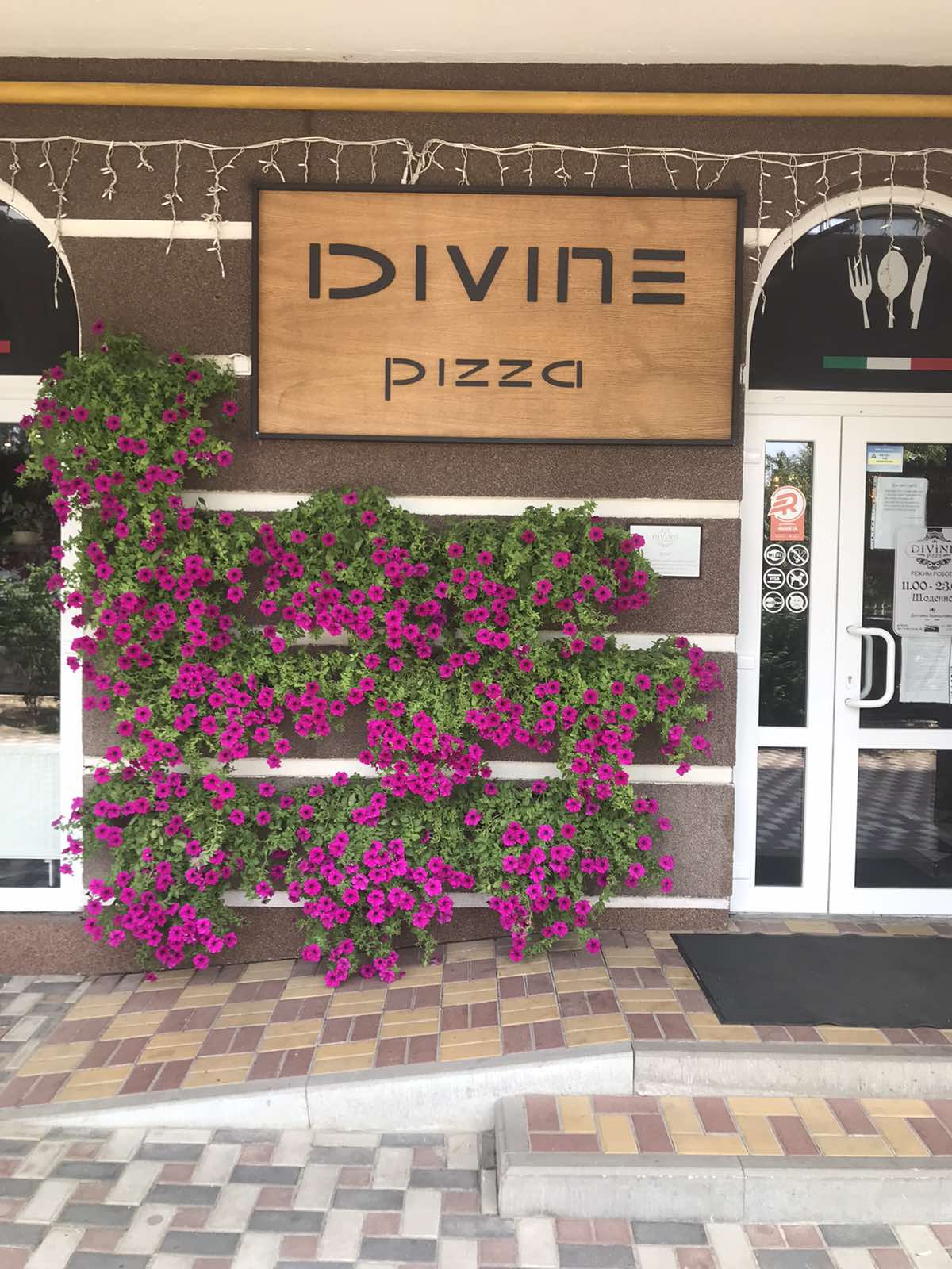 Divine Pizza image 1