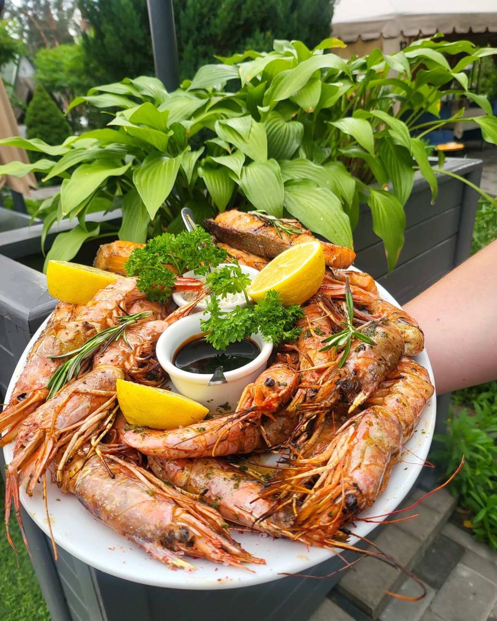 Отаманша image 2