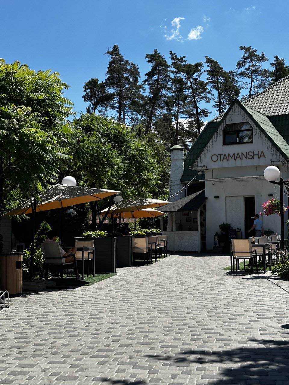 Отаманша image 3