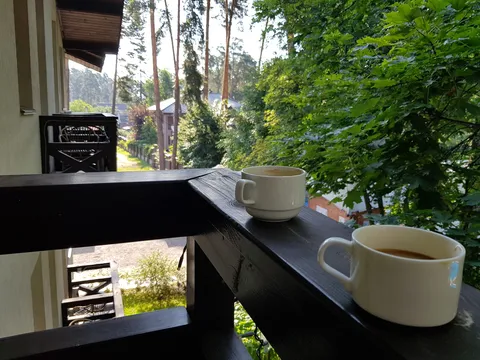 Ресторан Viktoria Park Hotel image 1