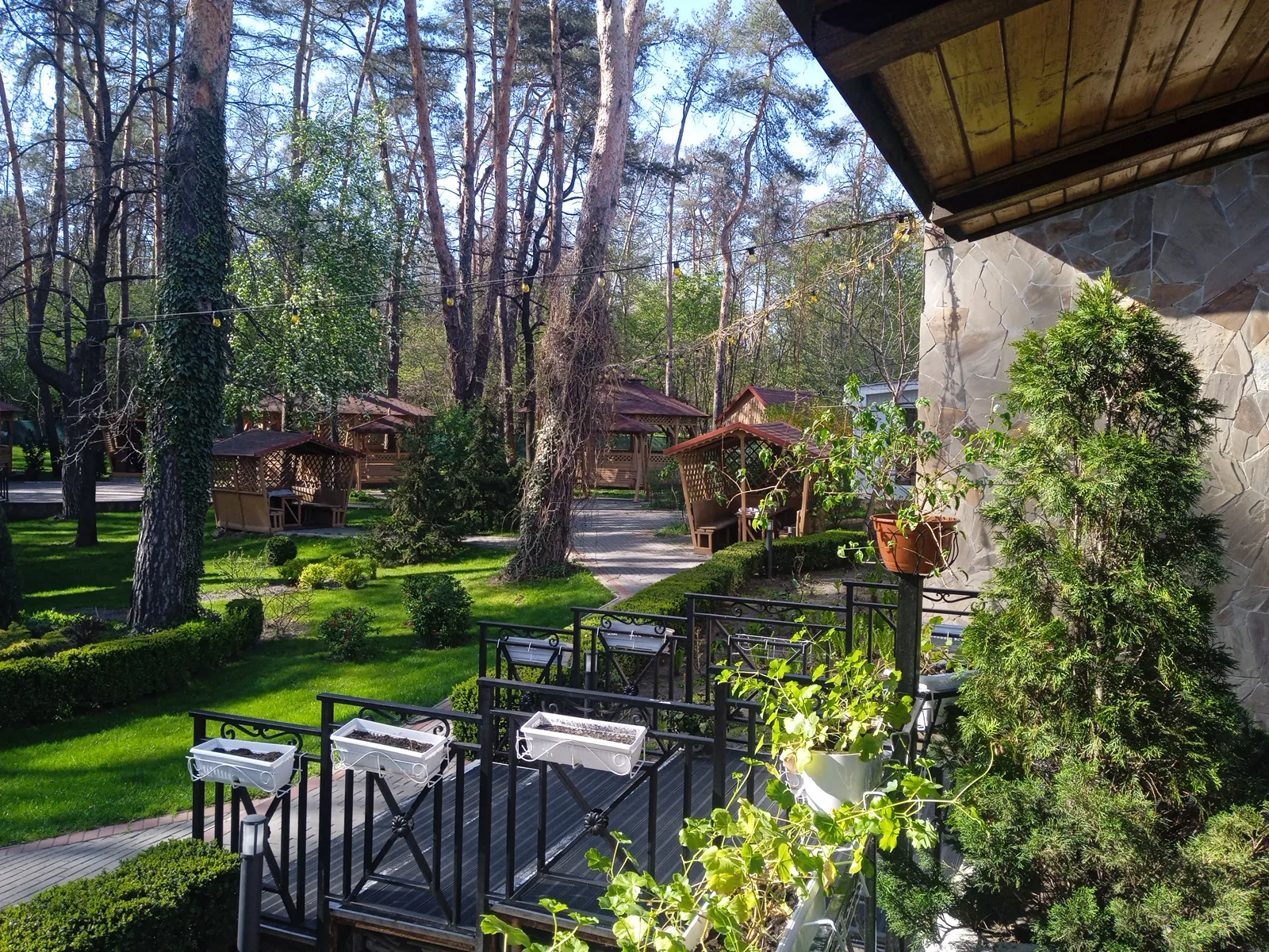 Restaurant PARK image 3