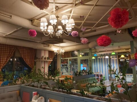 Pesto Cafe image 4