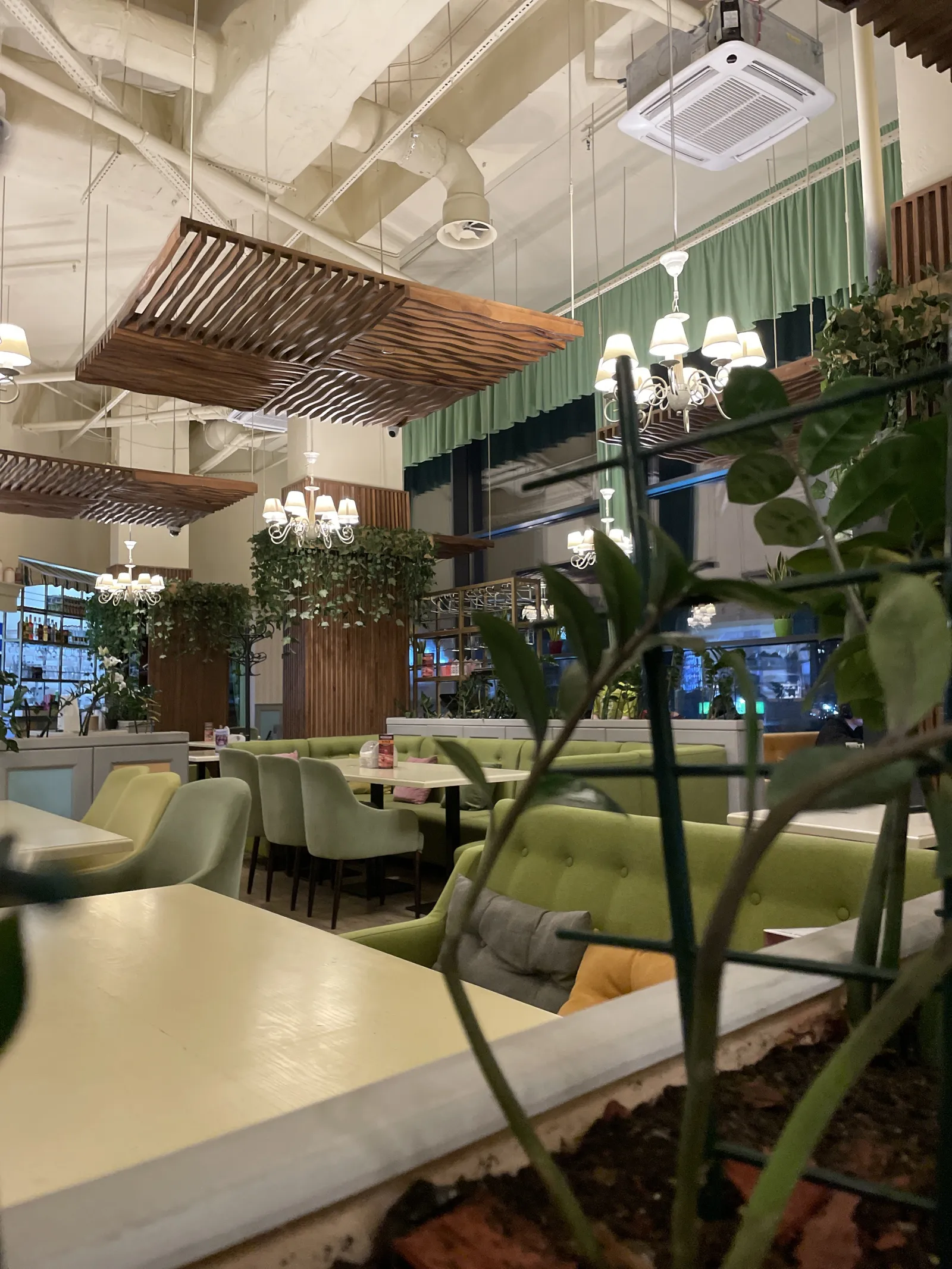 Pesto Cafe image 5