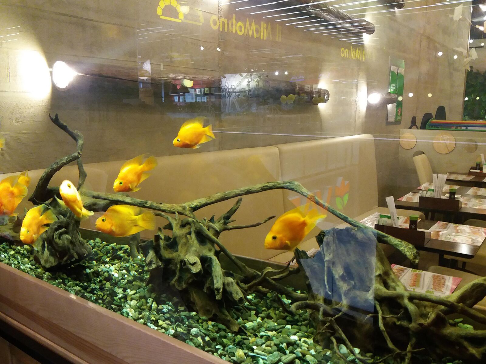 Sushiya image 5
