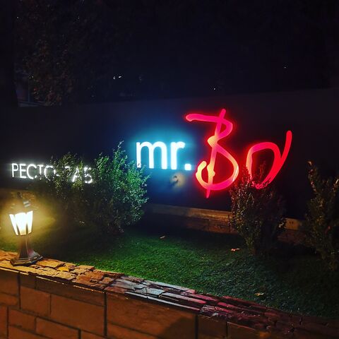 Mister Bo image 8