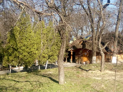 Bilya Yaru image 8