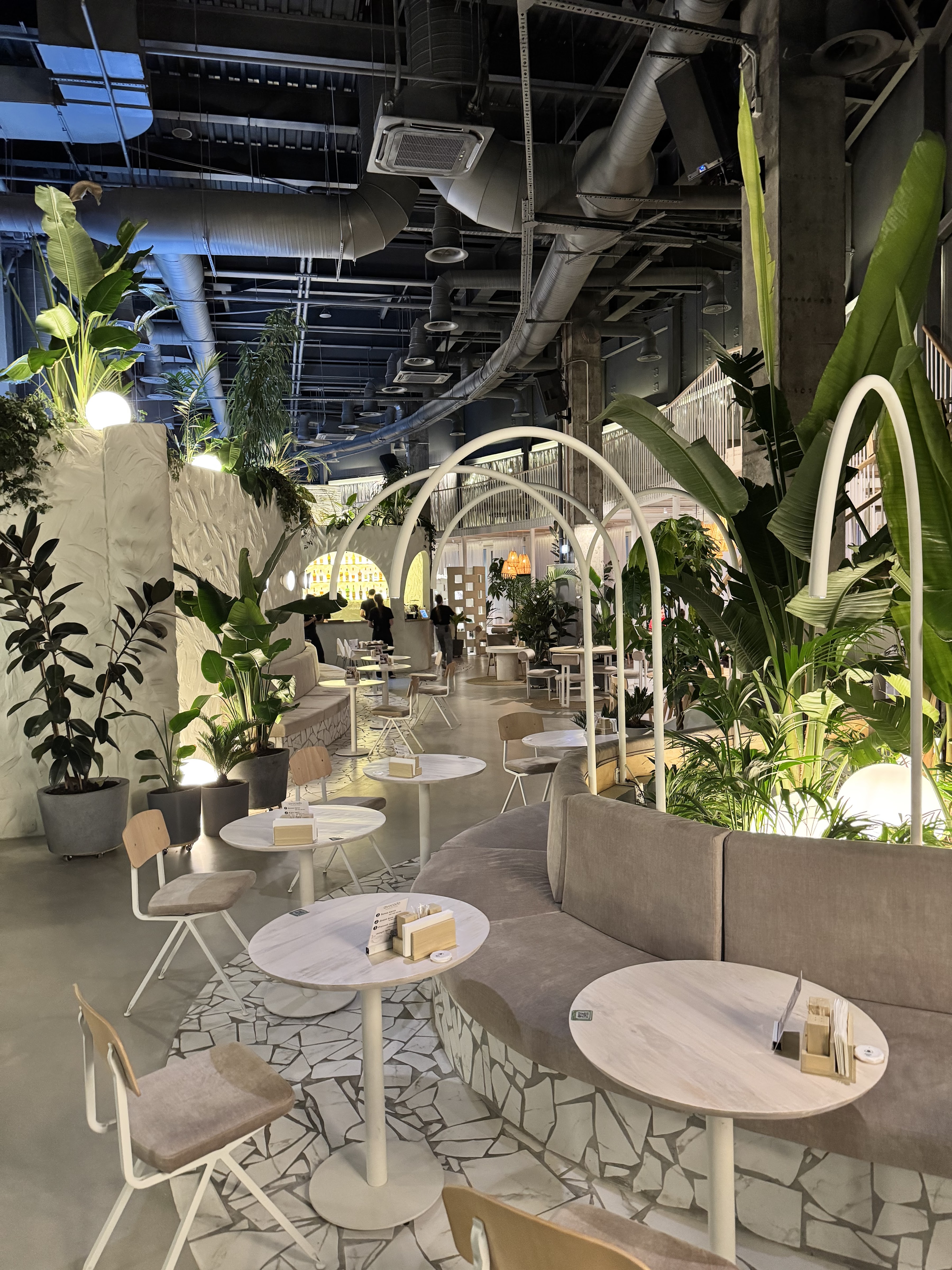 Avocado Organic Food image 3