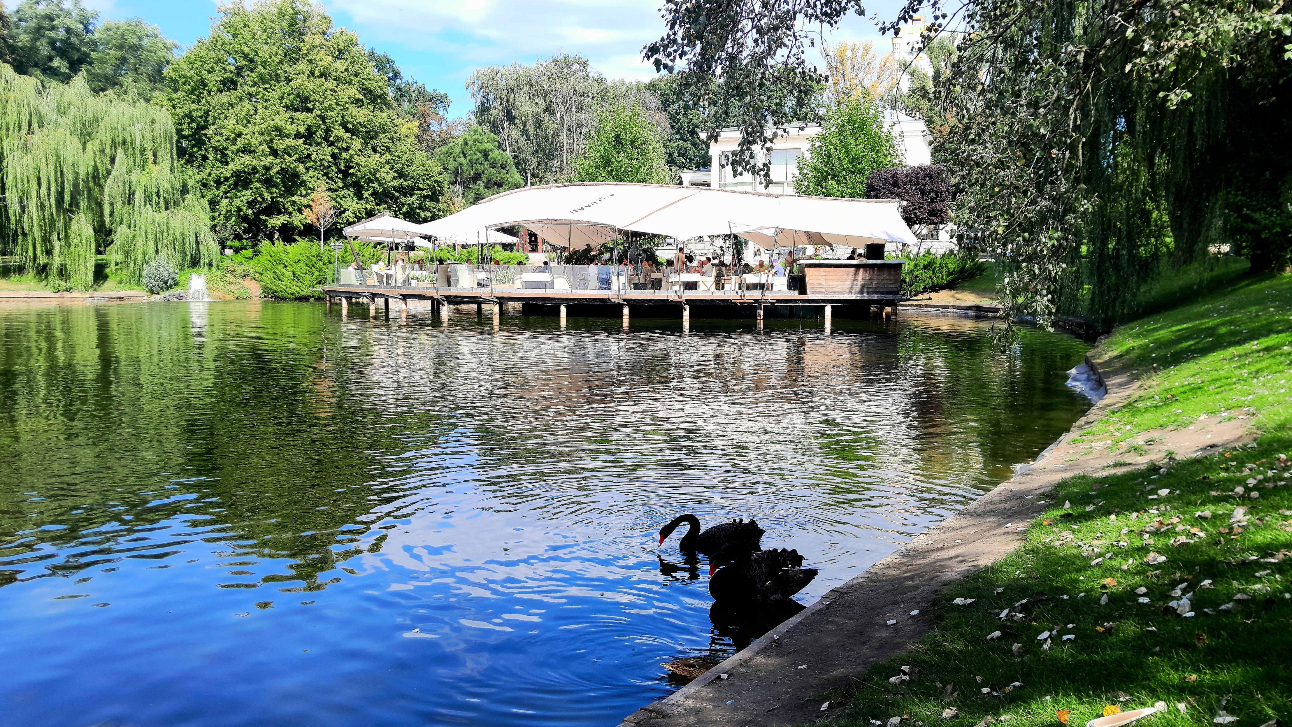 Restaurant Prague image 7