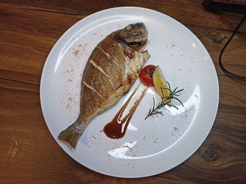 BRISTOL FOOD & WINE image 7