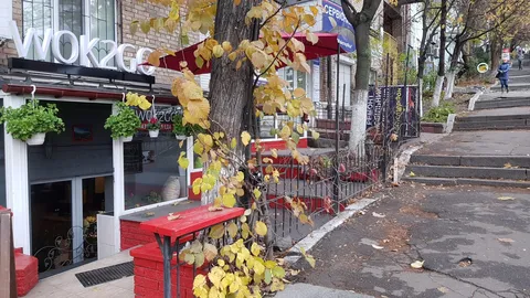 Wok2Go image 7