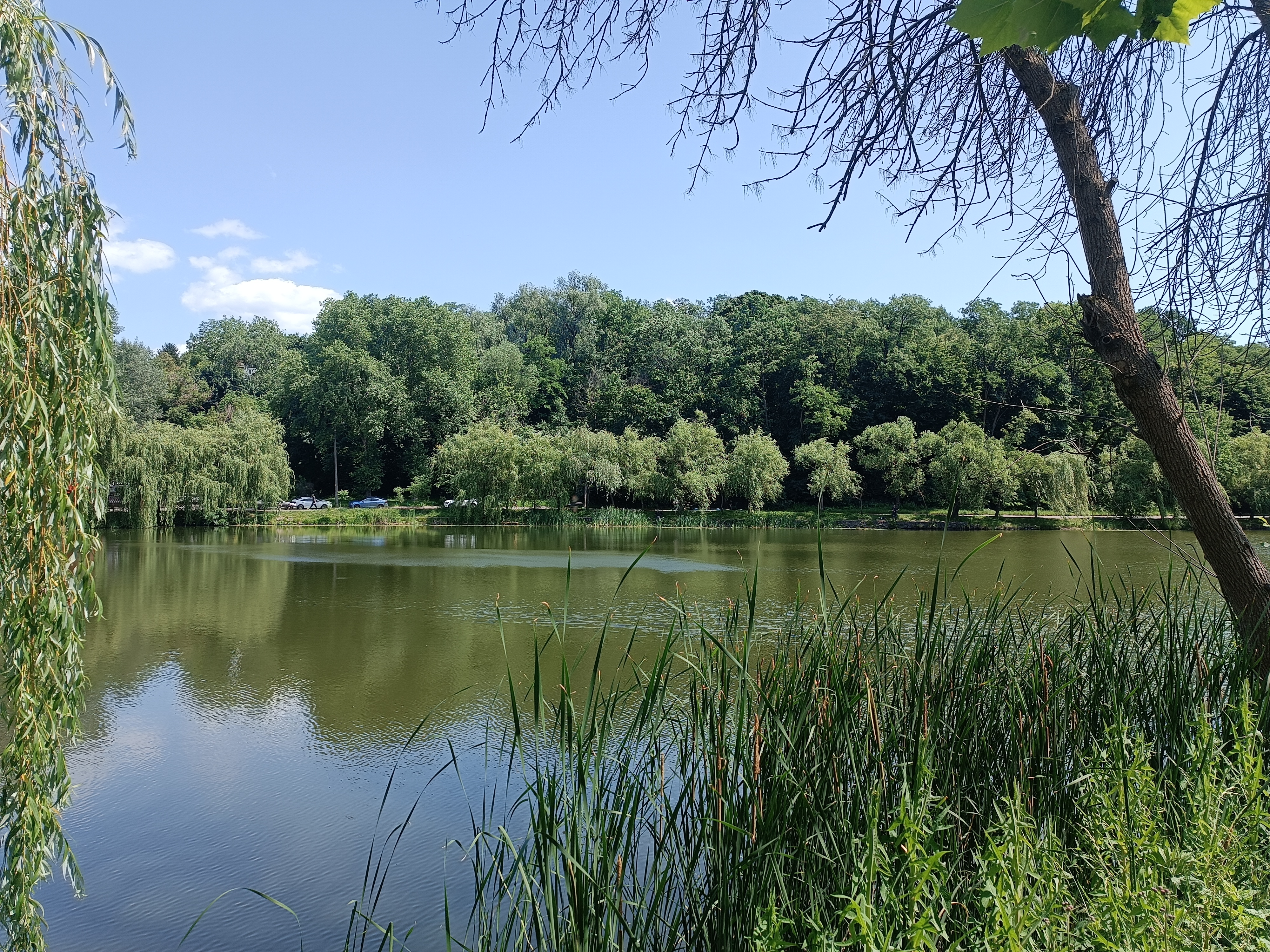 Kukhnya Polli image 5