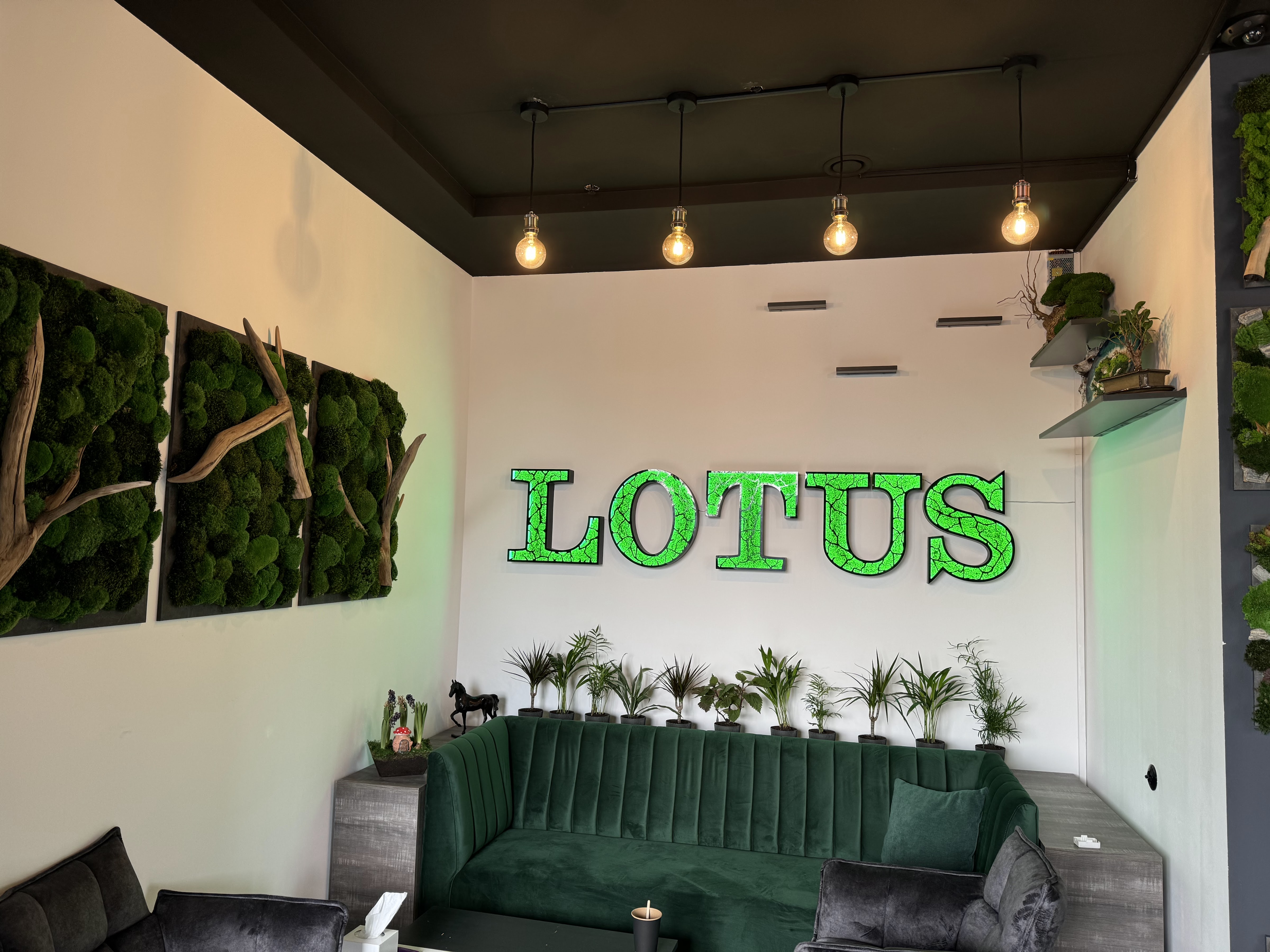 Lotus ресторан image 9