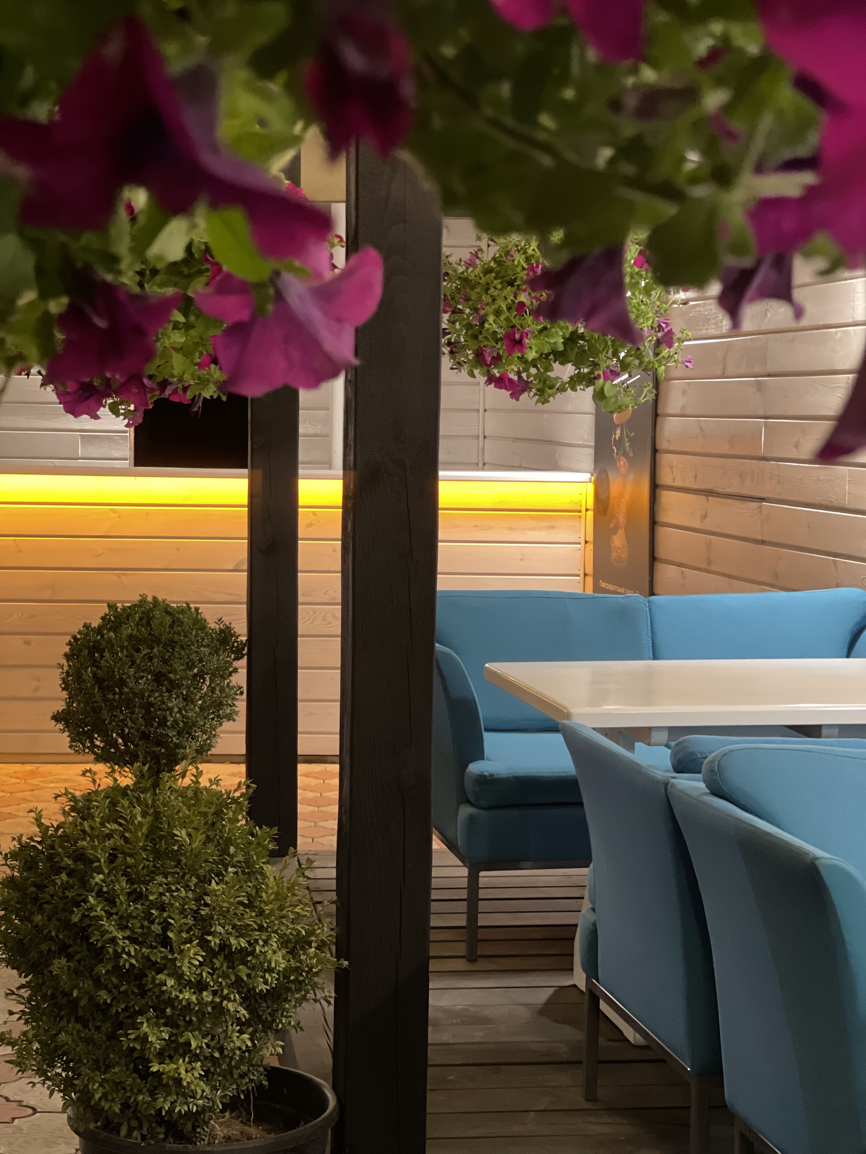 Bakynsʹki Vechory: Restoran image 6